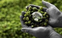 HPA declare a ‘new normal’ greener future HPA crop
