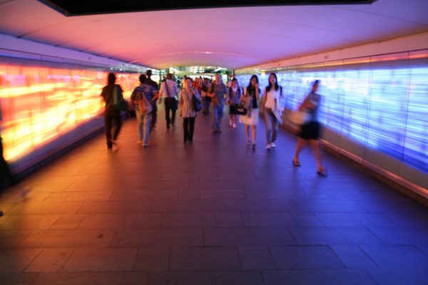 Material World Lightboxes by Merilyn Fairskye
