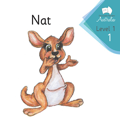 Level 1 Big Books + Level 1 Individual Set | Phonics Books | Decodable ...