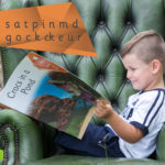 BIG BOOKS INDIVIDUAL SET Level Two - Big Books | Phonics Books Australia | Decodable Readers Australia