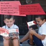 Level 5 and 6 - Individual Set | Phonics Books Australia | Decodable Readers Australia