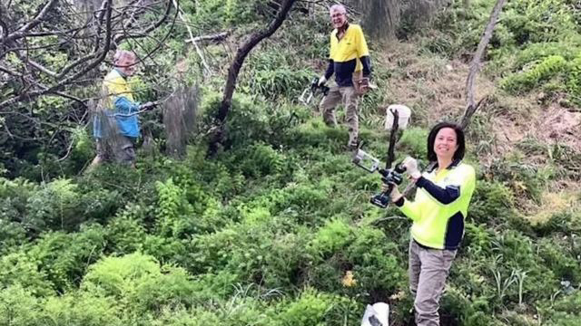 Join Bushcare's Open Field Day