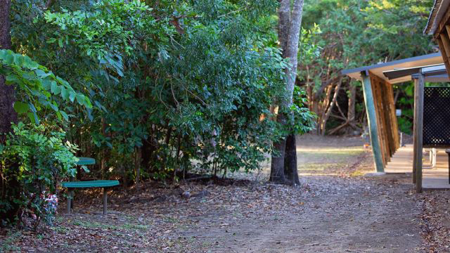 Bushland neighbour workshop