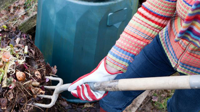 Expert composting help