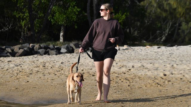 Dog beach work fetches award