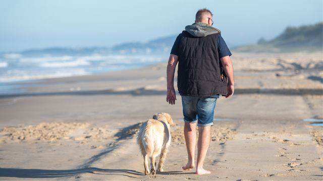 Check out our off-leash areas