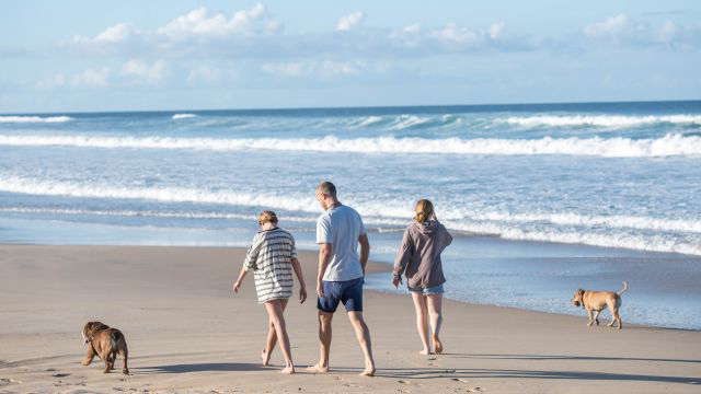 Check out our off-leash areas