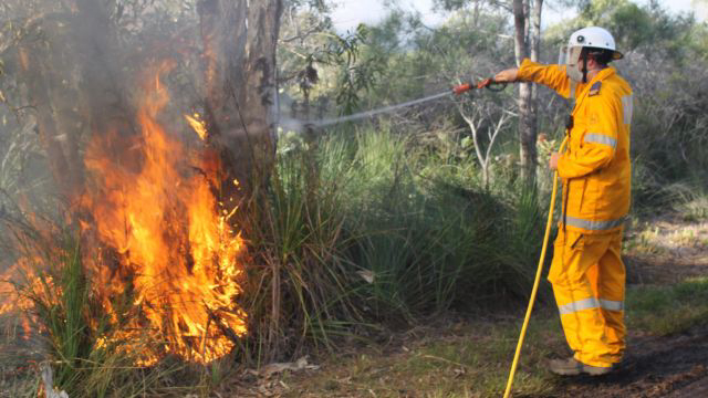 It's time to get ready, Noosa