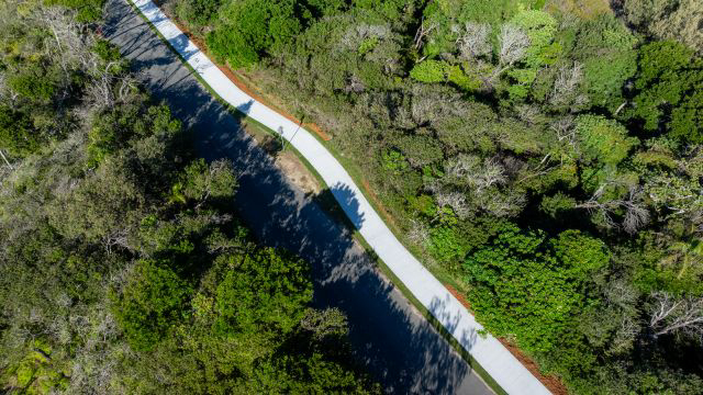 Osprey Avenue footpath renewed