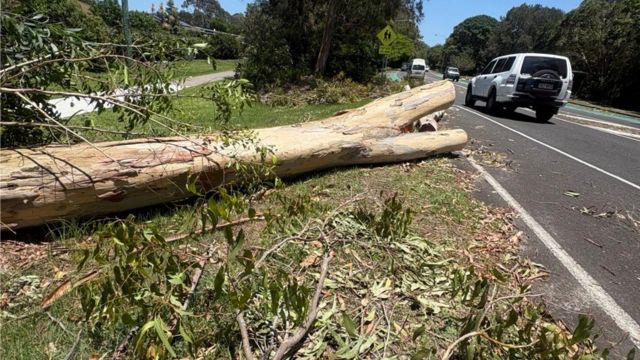 Concerns about disaster funding