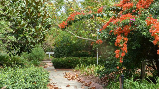 Have your say on Gardens' future