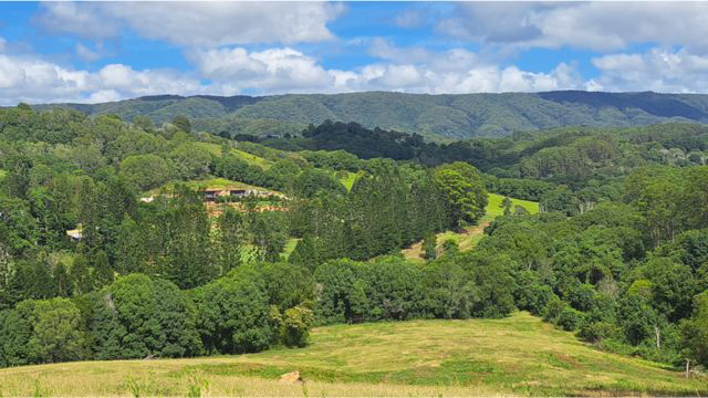 Land bought for conservation