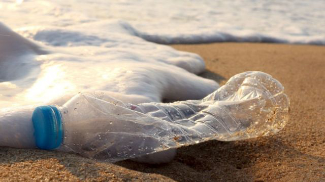 Beach clean-up starts