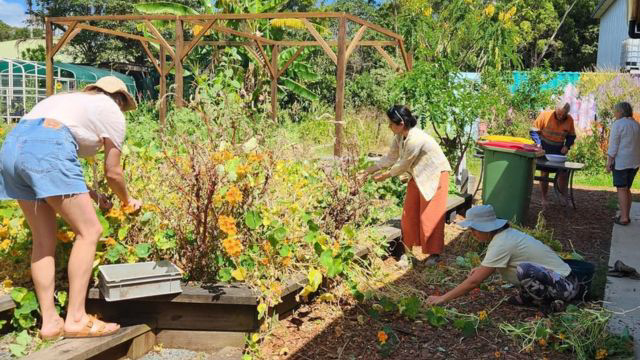 Community Project Grants open