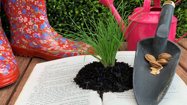 Support the Seed Library cycle