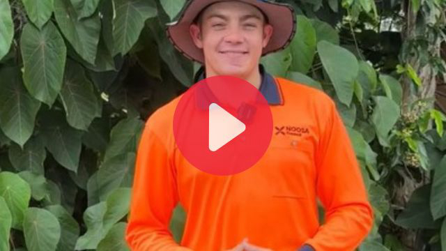  A DAY IN THE LIFE: Kyall is helping the local community recycle