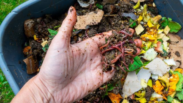 Supercharge your worm bin