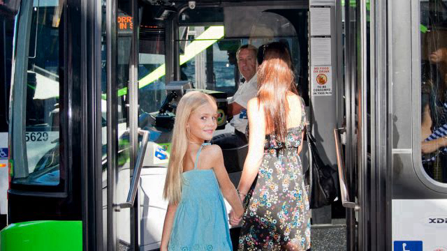 Caught a Free Weekend Bus?