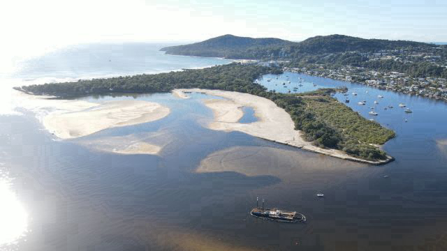 Doggy Beach now open