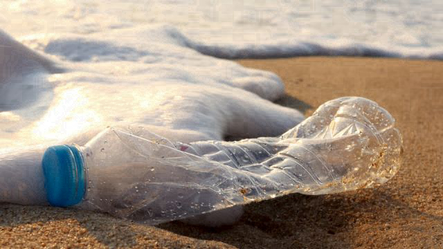 Join our beach clean-up