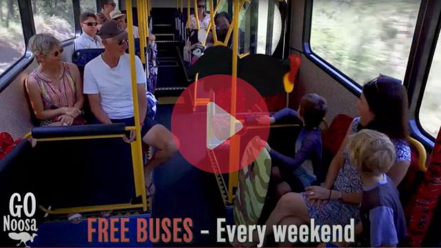 VIDEO: Hop aboard a bus and get around town for free this weekend!