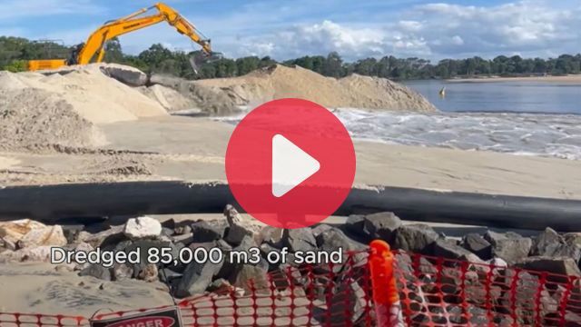 VIDEO: Checked out Doggy Beach at Noosa Spit lately?
