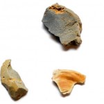 Stone artefacts from the Wynyard Walk Aboriginal campsite