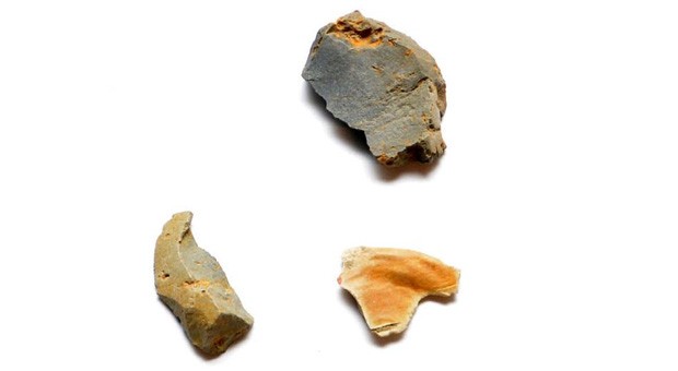 Wynyard Walk campsite