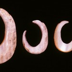 Shell fish hooks (bara)
