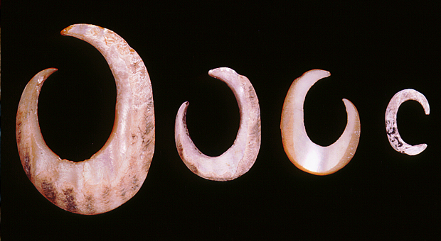 Shell fish hooks (bara)