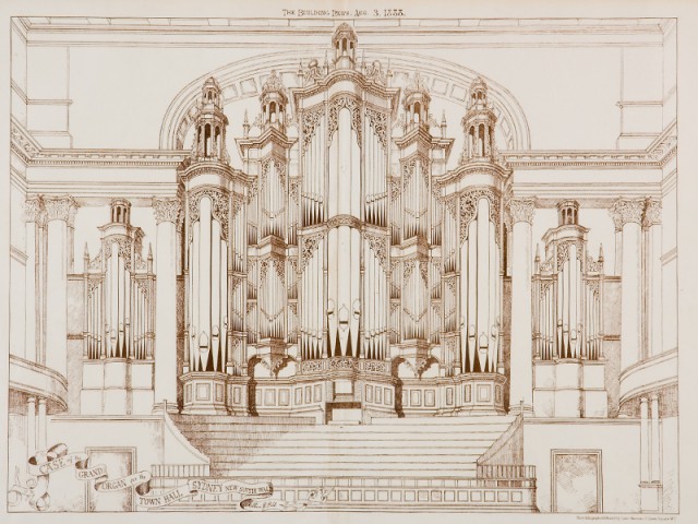 Organ Drawing