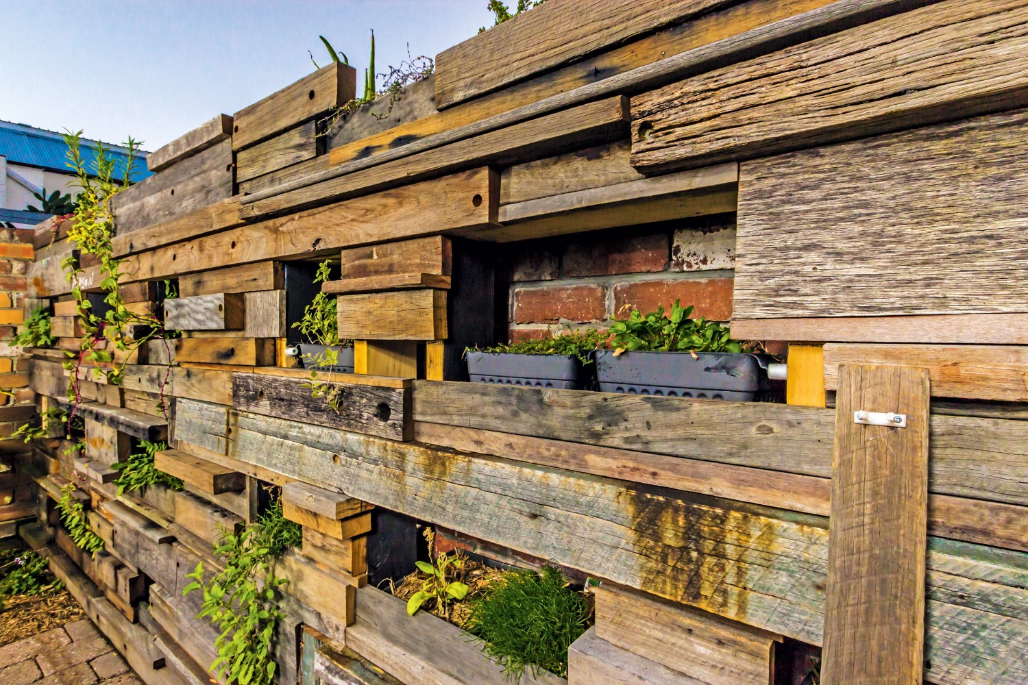 Inner-City Sustainable: a stunning permaculture design - Completehome