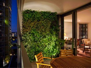 View of Green Walls - The new trend in apartment living - Project | ODS