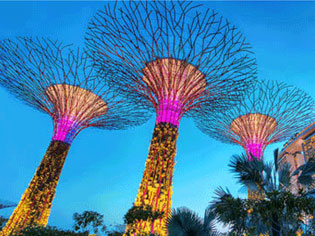 A forest of Supertrees - Project | ODS