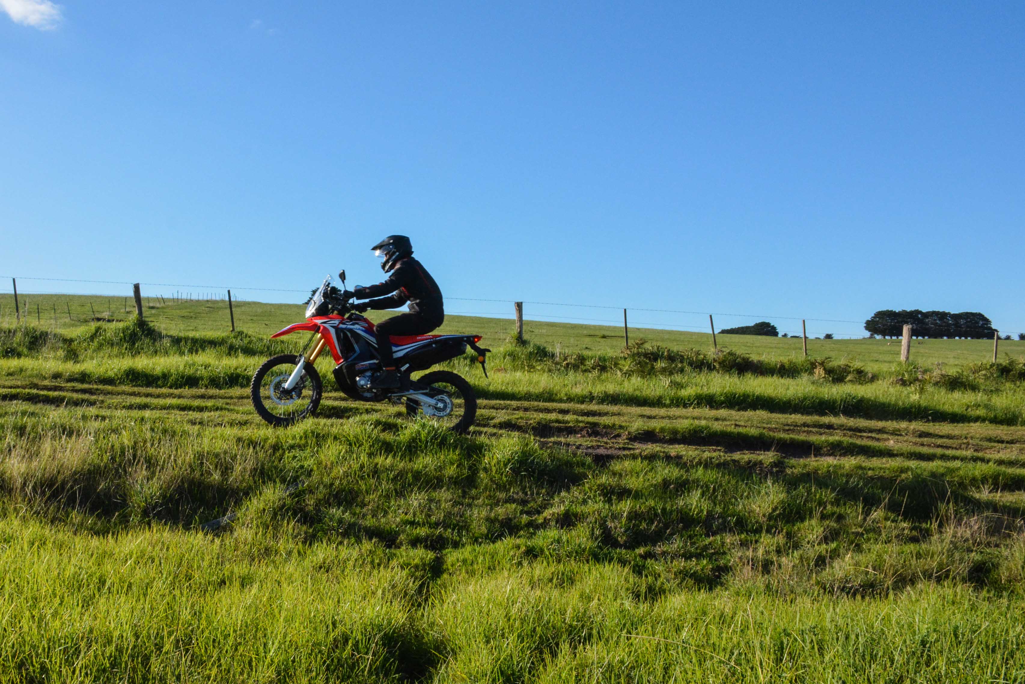 ARR142_FAST BLASTS_HONDA_4 please crop in designer ARR142_FAST BLASTS_HONDA_4 please crop in designer