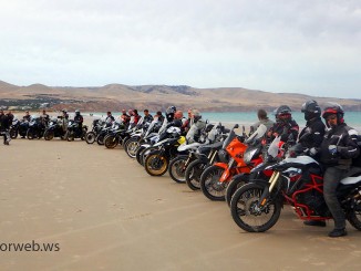 suzuki adventure