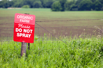 Pesticides_diabetes_web