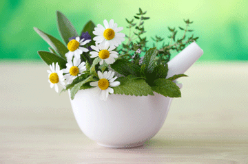 Apigenin_cancer_web