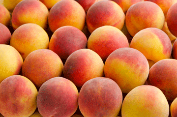 Peaches_breast_ca_web