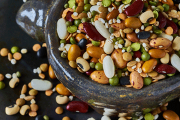 Protein_algae_legumes_web