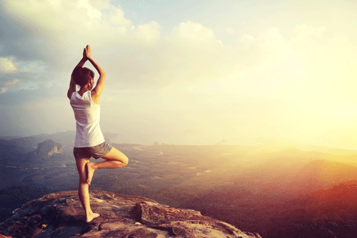 yoga_tree_wellbeing