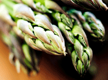 asparagus_fresh_wellbeing