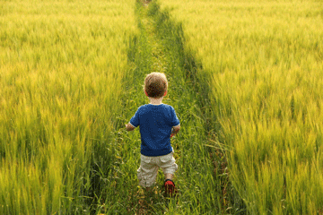 child_walking_crops_wellbeing