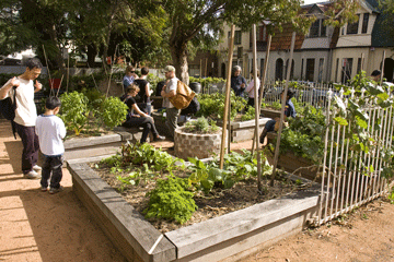 Newtown_Community_Garden
