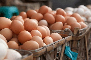 eggrecipes_wellbeingcomau