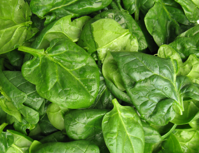 spinach_wellbeing