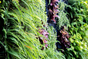 Vertical garden wall