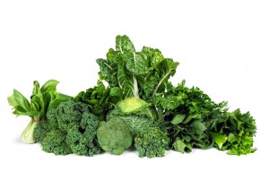 leafy green vegetables against a white background