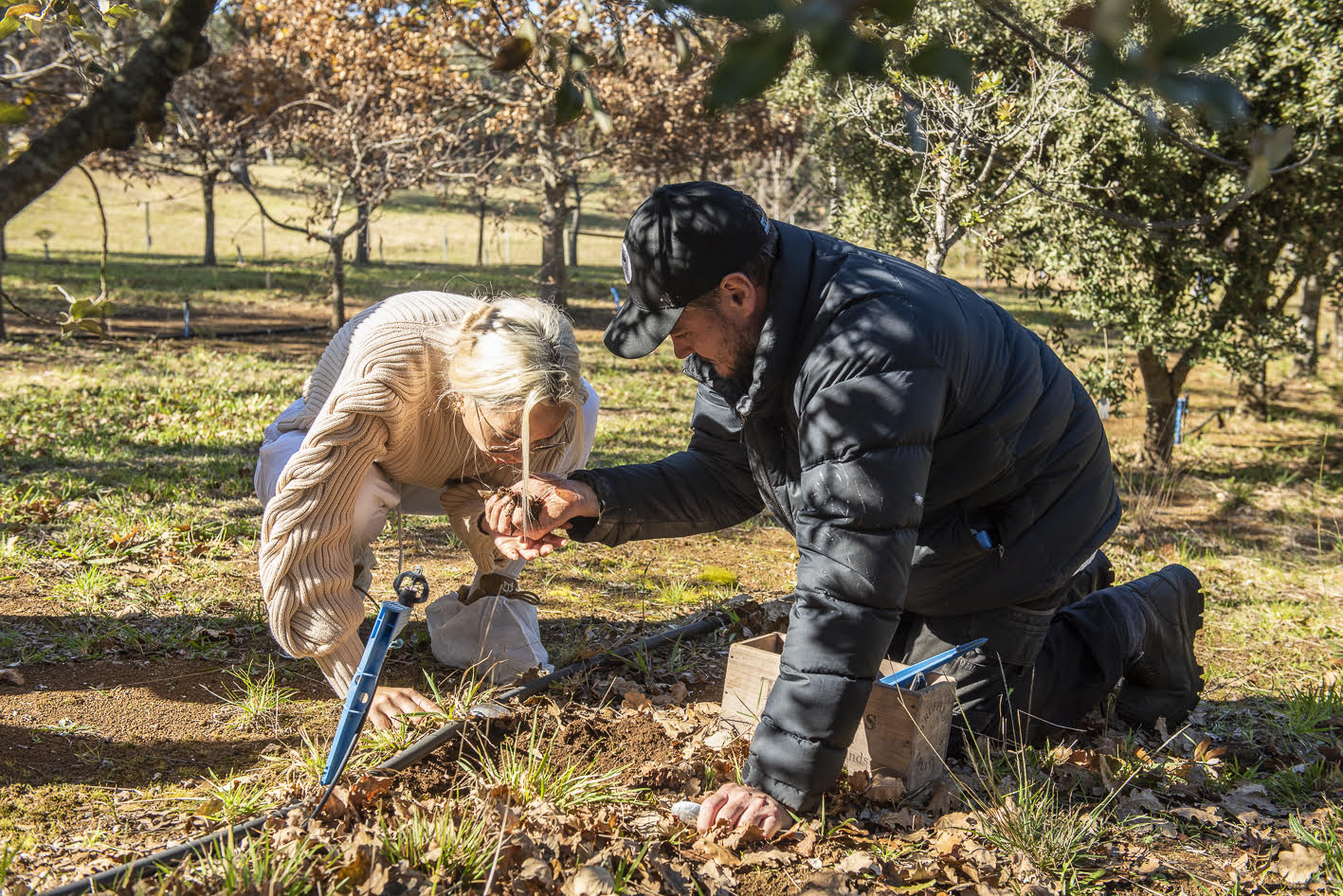 Must do Truffle hunting in the Southern Highlands Wayfarer