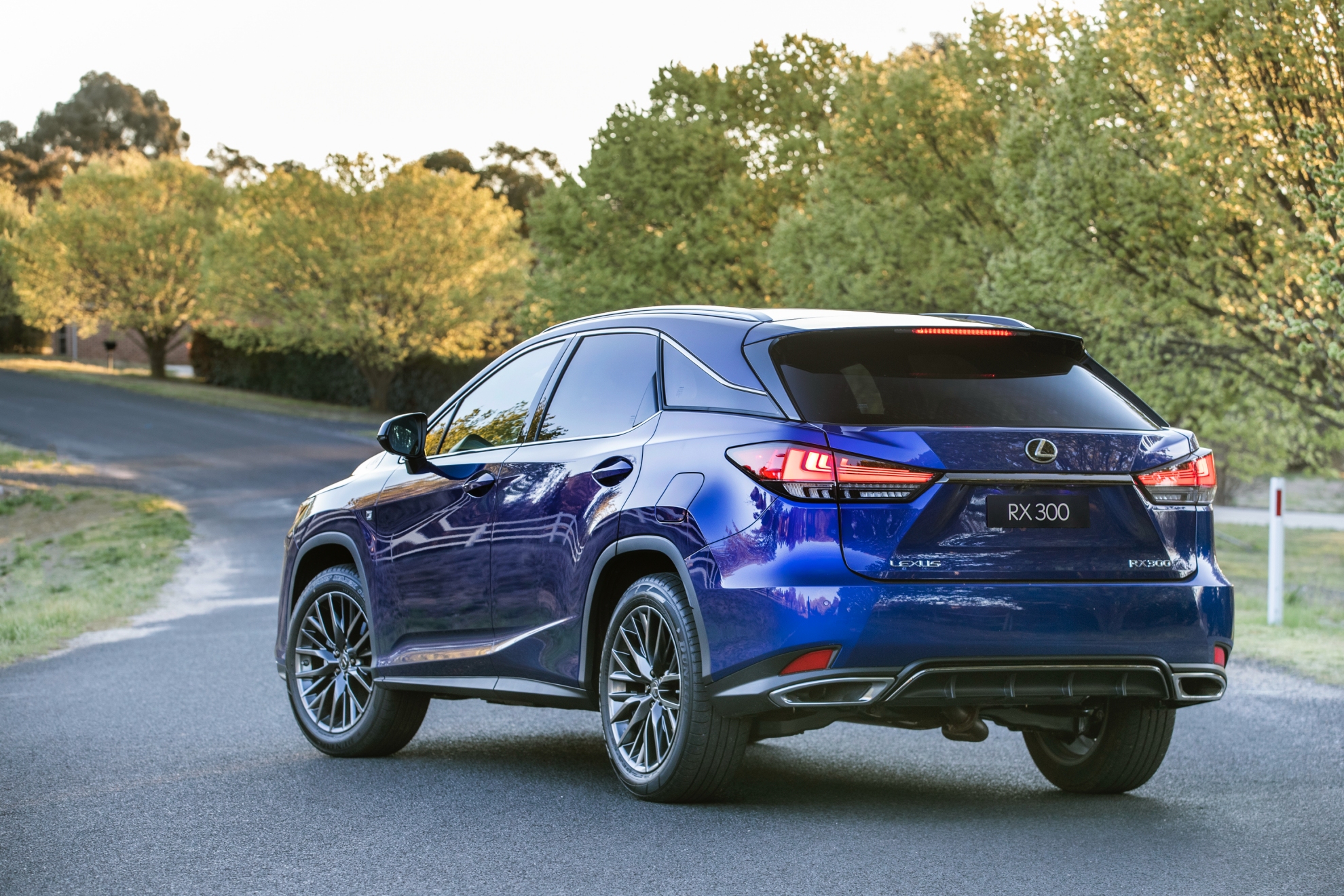 2019 Lexus RX 300 F Sport in Deep Blue Wayfarer
